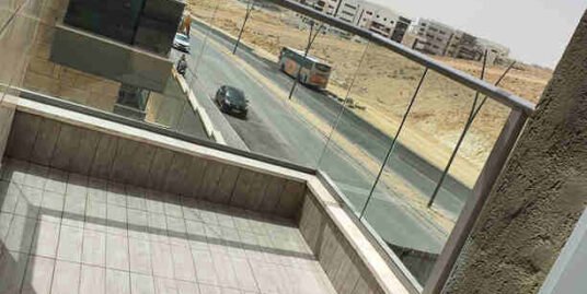 רח’ הרבי מלובאוויטש 40 דימונה