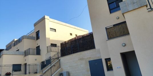 ענבר 87 נעלה