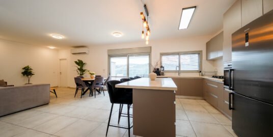 למכירה פנטהאוז 5 חד’ בשכונת ה 300 אלקנה